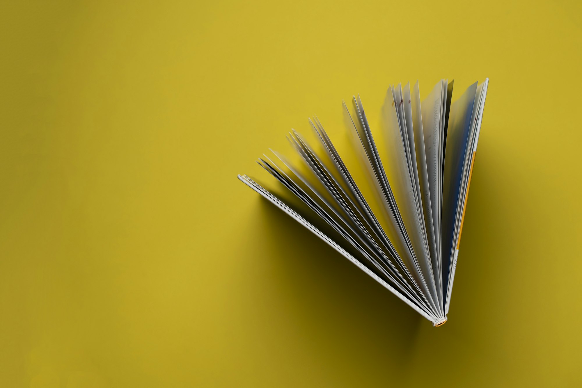 a directly above view of the opened book on pastel background, spreaded pages